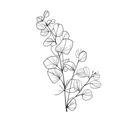 Eucalyptus branch abstract line art drawing for logos and invitations