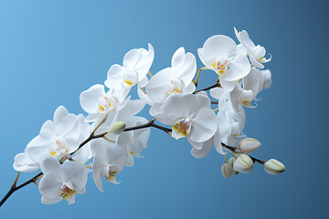 A white orchid blossom, untouched by imperfections, radiates a sense of purity and flawless beauty. Generative Ai.