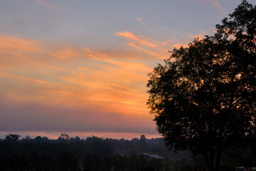 Fototapeta na wymiar Silhouette of Dramatic sky during sunrise in forest