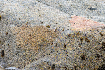 sea rock texture