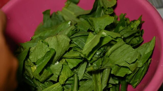 raw vegetables consisting of mustard greens and long beans which will be boiled and used as ingredients for making pecel dishes
