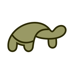 Turtle Vector Logo Design Template