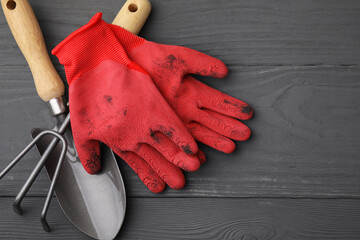 Gardening gloves, trowel and rake on grey wooden table, top view. Space for text