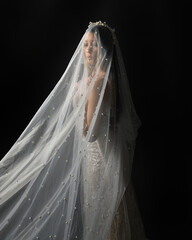 Close up portrait of beautiful model wearing white wedding gown and ghostly flowing veil like a...
