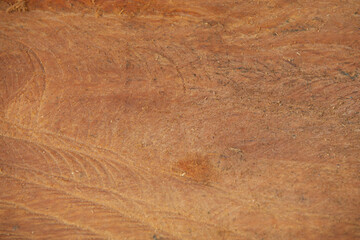 Wood texture background. Closeup of wood texture background. Floor surface