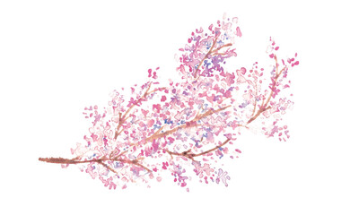Obraz premium 水彩画。水彩タッチの春の桜ベクターイラスト。Watercolor painting. Spring cherry blossom vector illustration with watercolor touch. Cherry blossoms with petals in full bloom. Japanese style cherry blossom illustration.
