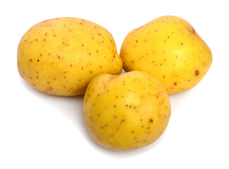 Potato isolated on white background