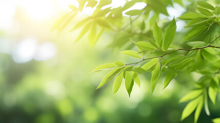 Naklejka premium natural green leaves with bokeh spring lights background