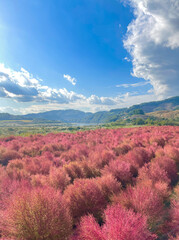 autumn landscape in the mountains