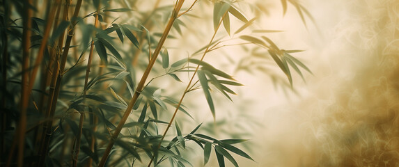 Fototapeta premium Beautiful Bamboo Art Illustration