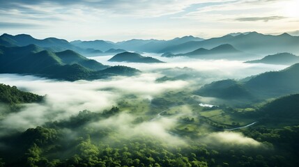 Aerial view capturing a tropical rainforest blanketed in morning fog.