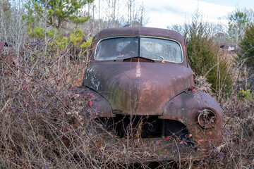 Abandoned 1947 stylmaster being taken over by weeds and brush.