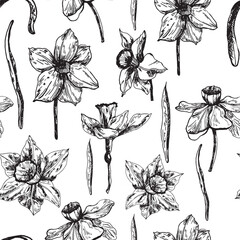 Seamless pattern with daffodil flowers, hand-drawn ink graphics. Spring flowers background line art, highlighted on a white background. Background on March 8th.