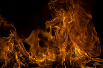 Fototapeta premium Blaze burning fire flame on art texture background.