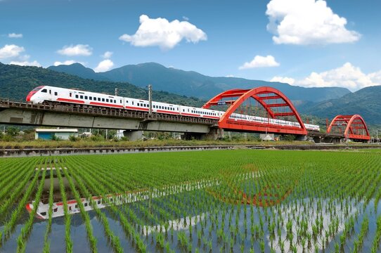 Scenery of a Puyuma express train shooting thru landmark Kecheng Iron Bridge with beautiful reflections in irrigated paddy fields of newly transplanted rice seedlings, in Yuli, Hualien, Taiwan, Asia