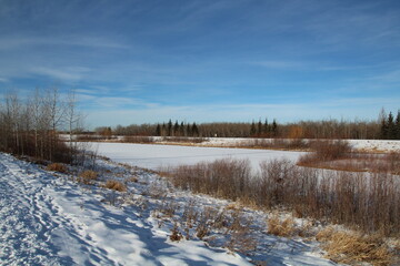 Winter On The Wetlands, Pylypow Wetlands, Edmonton, Alberta