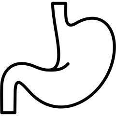 Stomach Icon