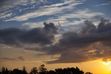 Beautiful sunset with silhouettes of trees in foreground