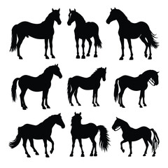 horse silhouette vector set design