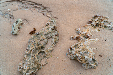 Detail of coral rocks on the edge of a white sand beach on the south coast of Pacitan, East Java, Indonesia. Coral rocks are scattered throughout the beach with hollow contours and irregular shapes