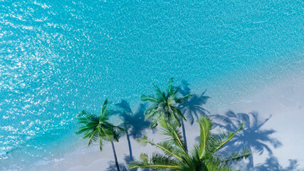 Fototapeta na wymiar Summer palm tree and Tropical beach with blue of seashore background