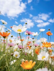 A field of white and orange flowers with blue sky in the background. Generative AI.