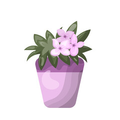 Potted plants and pink flowers vector illustration art