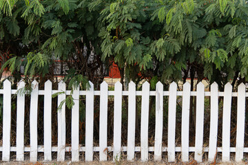 white fence and grass