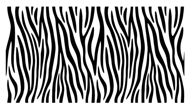 Zebra print, animal skin, tiger stripes, abstract pattern, line background, fabric. Amazing hand drawn vector illustration. Poster, banner. Black and white artwork, monochrome