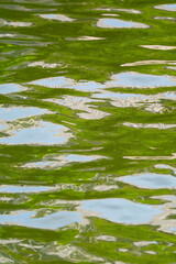 Artistic water ripples with green foliage and blue sky reflections