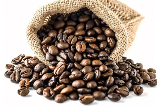 Coffee Beans isolated on white background area