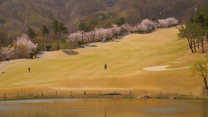 Golf course scenery on a spring day in Korea