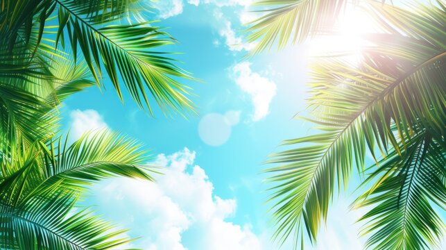 Background of coconut leaves with clear sky AI generated image