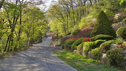 Scenery on the way to Seoknamsa Temple, a temple in Korea