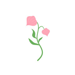 Spring Flower Illustration