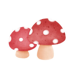 Mushroom red