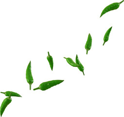 falling green chili