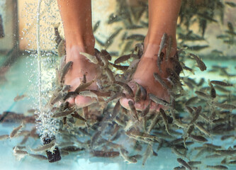 A girl on her feet is peeling fish in an aquarium