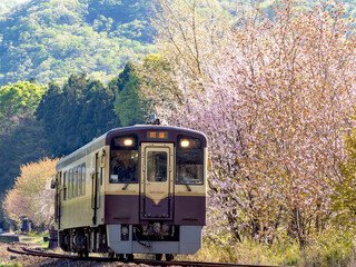 春の光の中を走る列車とハナモモの花