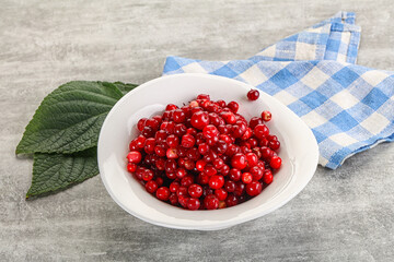 Ripe sweet wild organic cowberry