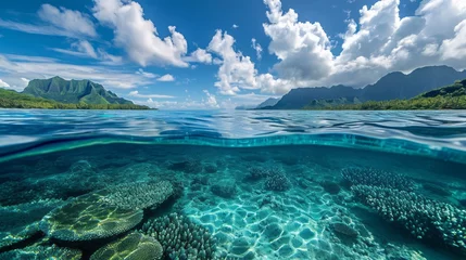 Poster Above and below surface of the Caribbean sea with coral reef underwater and a cloudy blue sky. © Dragan