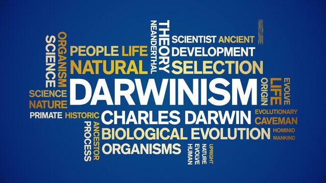 Darwinism animated tag word cloud;text design animation kinetic typography seamless loop.