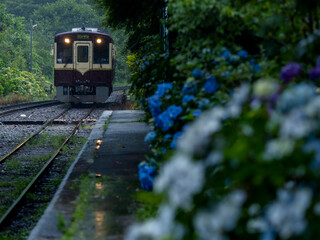 紫陽花が咲く駅に到着する列車