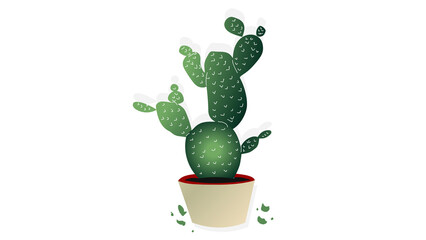 cactus in a pot