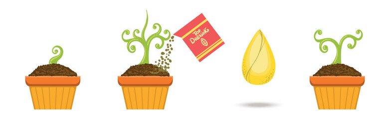 Plant Growing and Cultivation with Seedling in Soil in Pot Vector Set