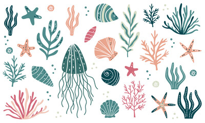 Vector collection of sea plants and shells. Jellyfish, algae, corals, shells and starfish. Marine illustrations in Scandinavian style . Vector illustration