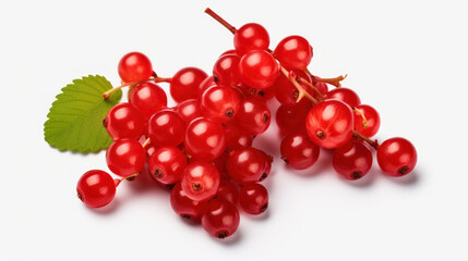 Red currant berries with leaf isolated on white background.