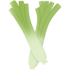 Green leek illustration 