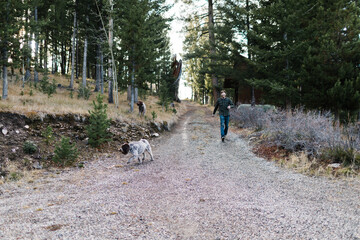 Person with dogs on a trail in Stanley, Idaho