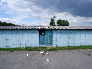 The dovecote is equipped in the garage.